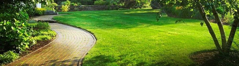 DJV LAWN & LANDSCAPE