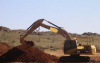 Caterpillar 45