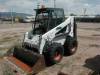Bobcat