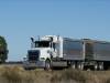 Truck and Dog