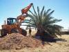 Wheel Loader