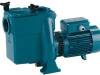 Pump Self Priming General Purpose - 150mm - Diesel - BMA