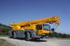 30 Tonne Slew Crane