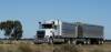 Truck and Dog