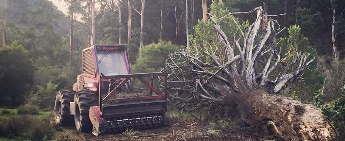 Advanced Clearing and Excavation