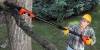 Pole Saw