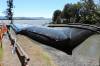 Drying Bag