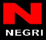 Negri Construction Group