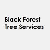 Black Forest Tree Services