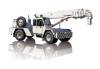 25 Tonne Franna Crane