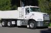 Rigid Tipper and Dog
