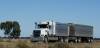 Truck and Dog