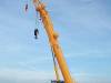 CRAWLER CRANE.60T.LIEBHERR.LTR1060