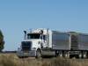 Truck and Dog