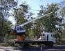 Jarraff 4x4 Tree Trimmer