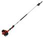 Pole Pruner 4m reach