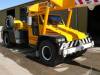 20 Tonne Franna Crane