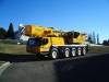 80 Tonne All Terrain Crane