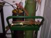 Oxy acetylene Welding / Cutting (Procure IT)