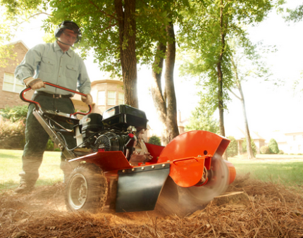 Husqvarna Stump Grinder for hire