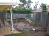 Temporary Fence Panel - Pool 1.8m