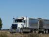 Truck & Dog