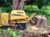 Stump Grinder