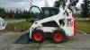 Bobcat