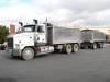 Tipper Truck and Dog